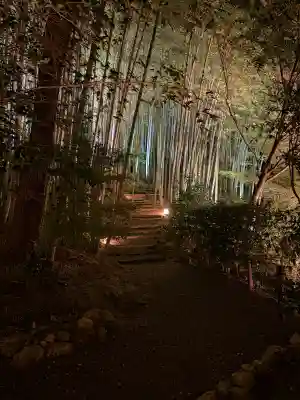 高台寺（高台寿聖禅寺・高臺寺）(京都府)