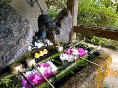 国宝 長寿寺(滋賀県)