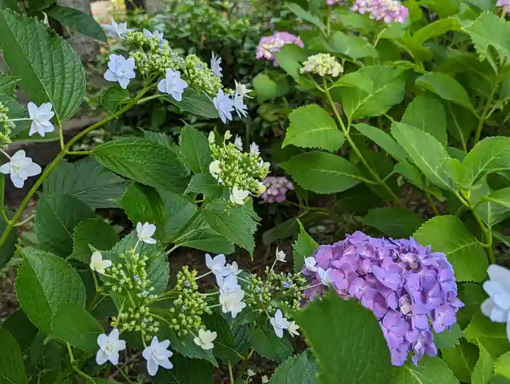 六孫王神社(京都府)