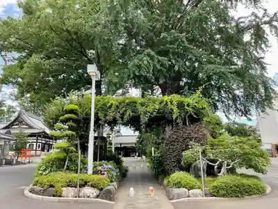 禅林寺(東京都)