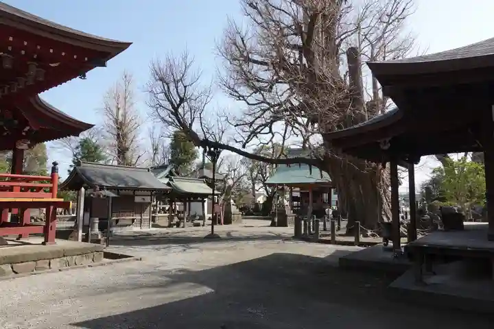 勝福寺(神奈川県)