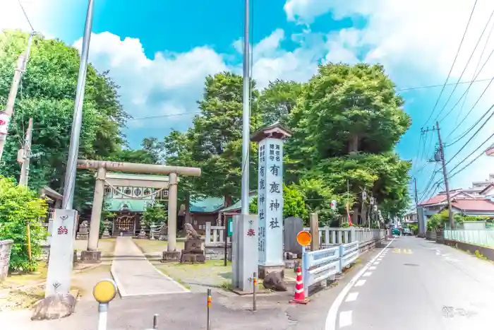 有鹿神社の鳥居