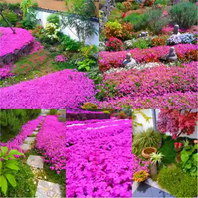 寿量山 速成寺(奈良県)