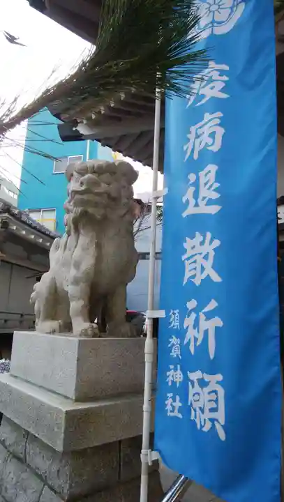須賀神社の狛犬