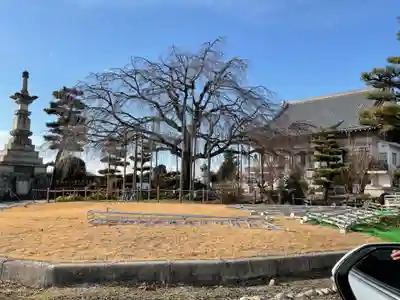正眼寺(愛知県)