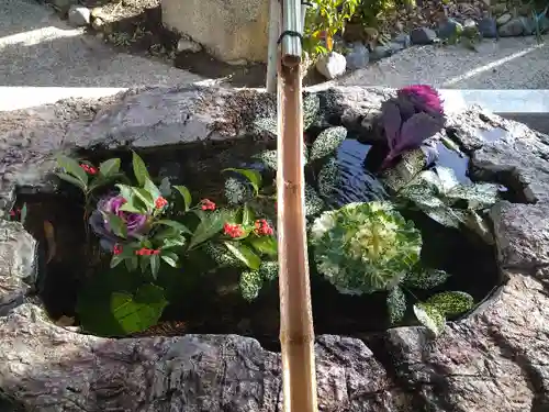 阿智神社の手水