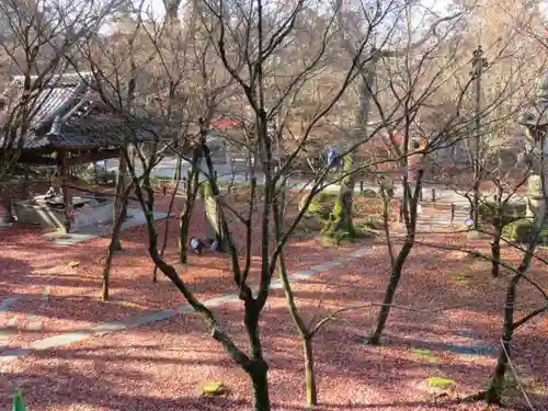 禅林寺（永観堂）の庭園