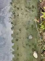 円成院(奈良県)