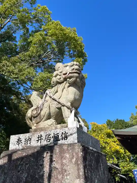伊豆神社の狛犬