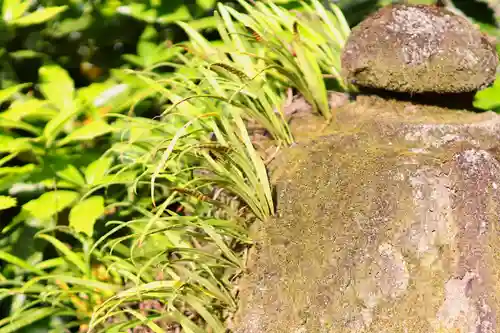三津厳島神社の自然
