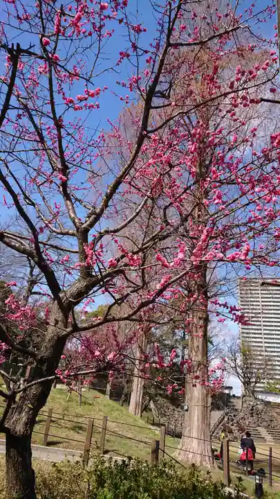 龍城神社の庭園