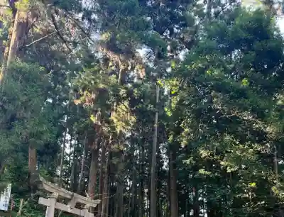 大宮温泉神社(栃木県)