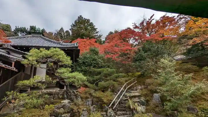 霊鑑寺門跡(京都府)