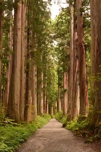 戸隠神社九頭龍社(長野県)