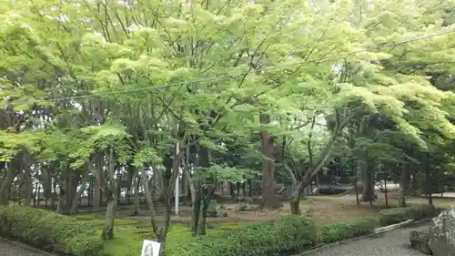 縣居神社の庭園