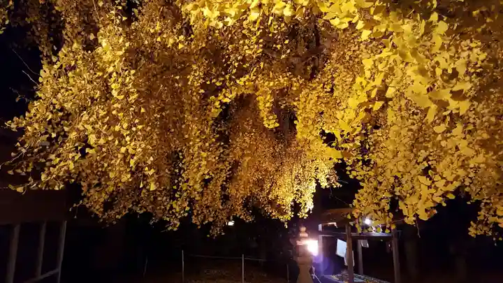 丹生酒殿神社の自然