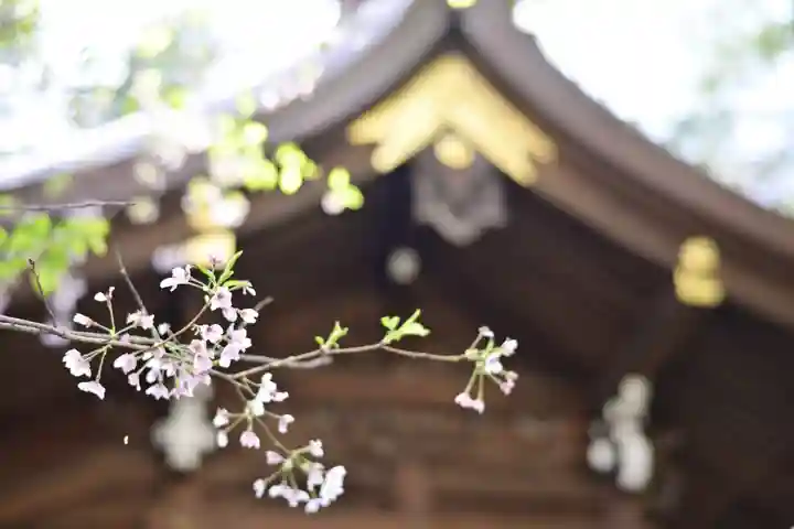 子安神社(東京都)