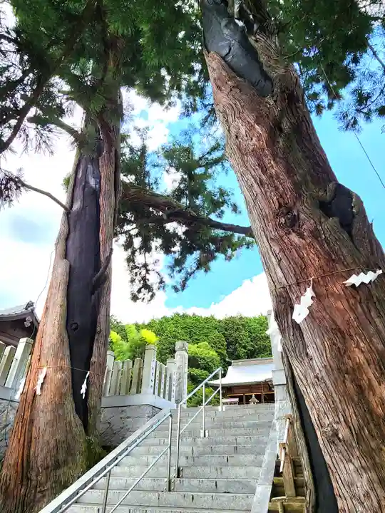 石部神社の自然