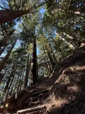 玉置神社(奈良県)