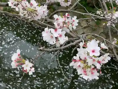 紫雲山 大泉寺(京都府)