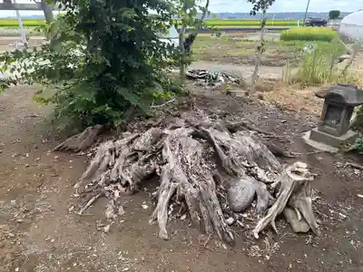 道祖神社(山形県)