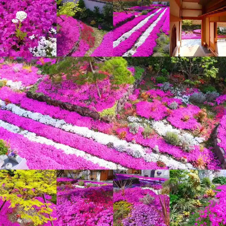 寿量山 速成寺(奈良県)
