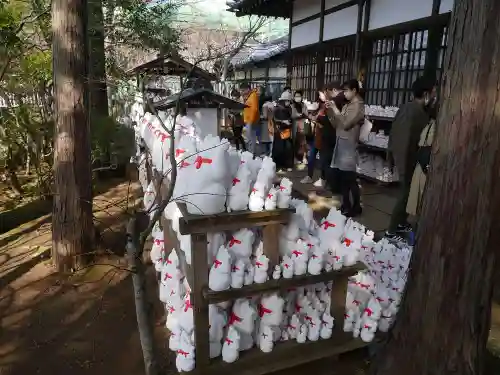 豪徳寺の狛犬