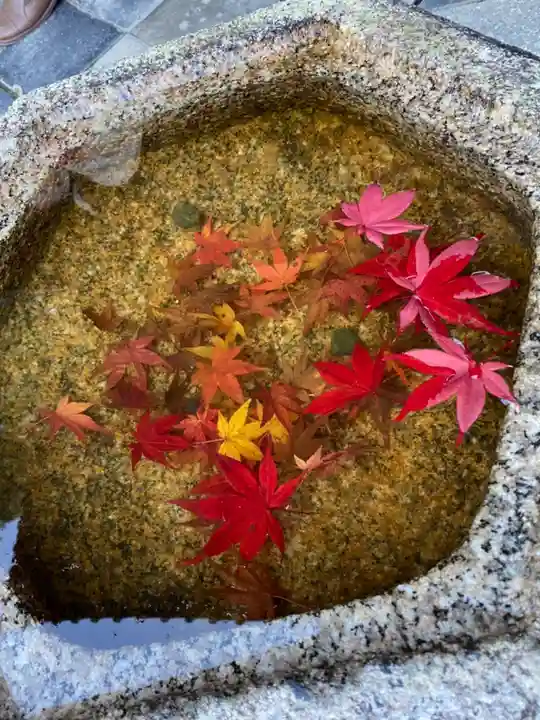 東福禅寺(東福寺)の手水舎