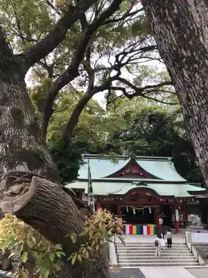 來宮神社の本殿・本堂