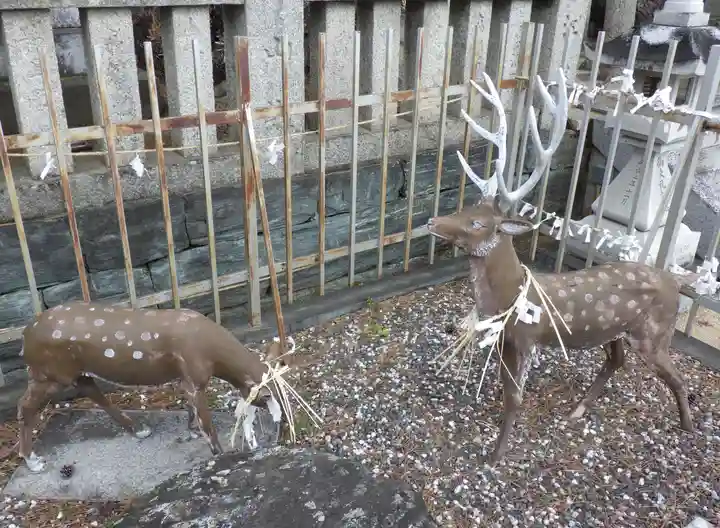 四所神社の狛犬
