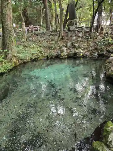 泉神社(茨城県)