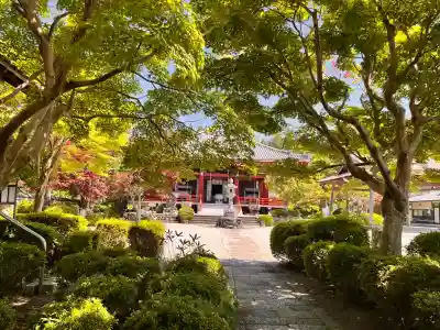 櫟野寺の{uncategorized: "未分類", other: "その他", undefined: "問題あり", building: "その他建物", grave: "お墓", sacred_gate: "鳥居", guardian: "狛犬", statue: "像", buddha: "仏像", history: "歴史", nature: "自然", garden: "庭園", animal: "動物", pagoda: "塔", temizu: "手水舎", mountain_gate: "山門・神門", sanctuary: "本殿・本堂", subordinate: "末社・摂社", art: "芸術", scenery: "景色", jizo: "地蔵", ema: "絵馬", goshuin: "御朱印", omikuji: "おみくじ", items: "授与品その他", amulet: "お守り", goshuincho: "御朱印帳", eats: "食事", festival: "お祭り", votive_dance: "神楽", shichigosan: "七五三参", wedding: "結婚式", experience: "体験その他", initially: "初詣", around: "周辺", anti_infection: "感染症対策"}