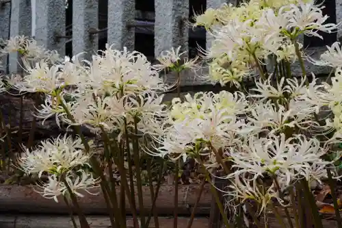 玉田神社(京都府)