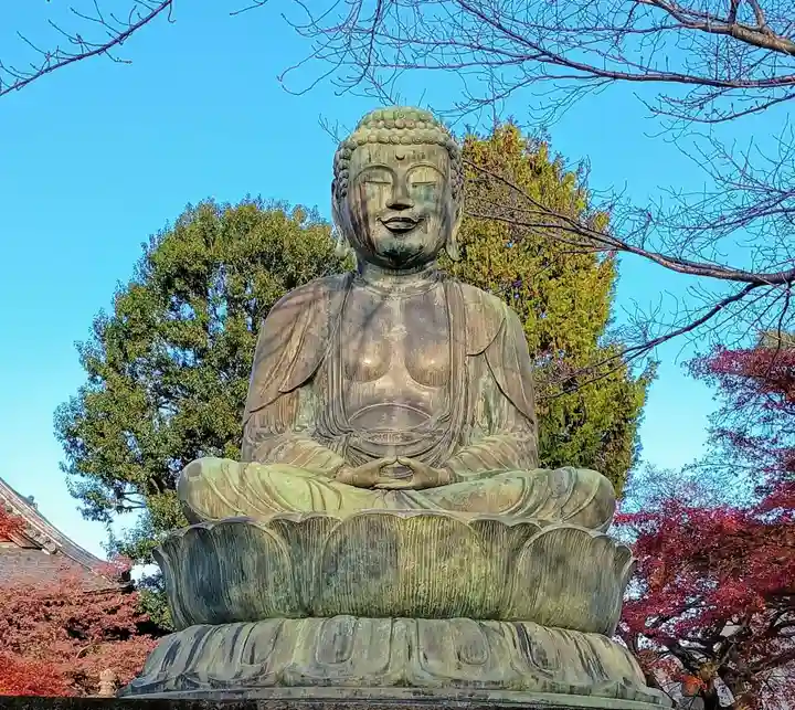 護国寺(東京都)