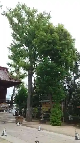 戸越八幡神社(東京都)