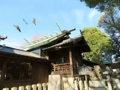 羊神社の本殿・本堂