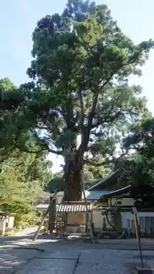 極楽寺(徳島県)