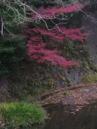東勝寺跡の自然