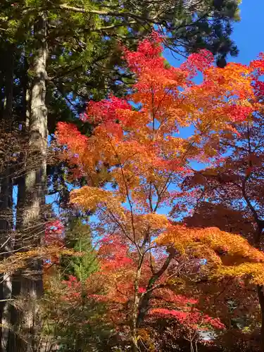 高野山大師教会(和歌山県)