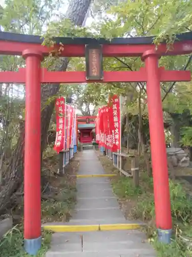 亀岡八幡宮（亀岡八幡神社）の鳥居