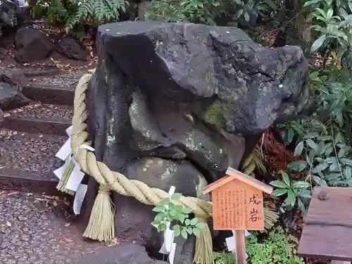 川越氷川神社(埼玉県)