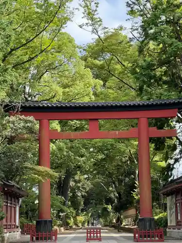 武蔵一宮氷川神社の鳥居