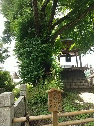 北向観音の自然