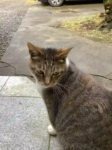 玉野御嶽神社の動物
