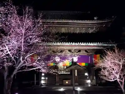知恩院(京都府)