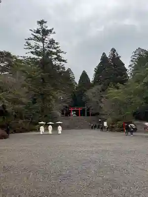 霧島神宮(鹿児島県)