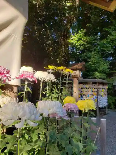 阿佐ヶ谷神明宮(東京都)