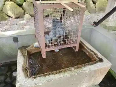 菅田神社の手水舎