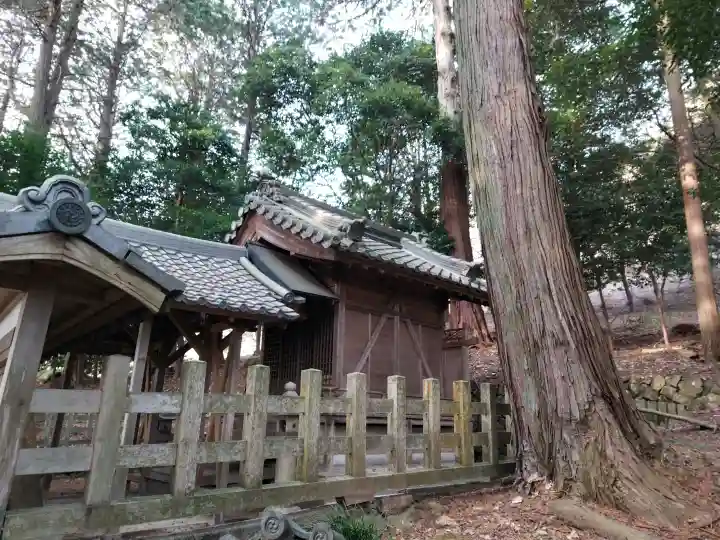 九社神社の{uncategorized: "未分類", other: "その他", undefined: "問題あり", building: "その他建物", grave: "お墓", sacred_gate: "鳥居", guardian: "狛犬", statue: "像", buddha: "仏像", history: "歴史", nature: "自然", garden: "庭園", animal: "動物", pagoda: "塔", temizu: "手水舎", mountain_gate: "山門・神門", sanctuary: "本殿・本堂", subordinate: "末社・摂社", art: "芸術", scenery: "景色", jizo: "地蔵", ema: "絵馬", goshuin: "御朱印", omikuji: "おみくじ", items: "授与品その他", amulet: "お守り", goshuincho: "御朱印帳", eats: "食事", festival: "お祭り", votive_dance: "神楽", shichigosan: "七五三参", wedding: "結婚式", experience: "体験その他", initially: "初詣", around: "周辺", anti_infection: "感染症対策"}