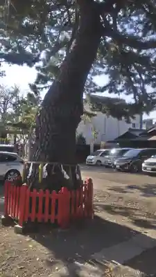鴻神社(埼玉県)